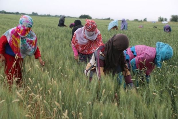 بیکاری زنان روستایی در خراسان رضوی کاهش یافت