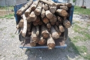 2.5 تن چوب جنگلی قاچاق در لردگان کشف شد