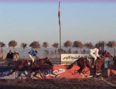 رقابت 93 راس اسب در هفته 28 مسابقات اسبدوانی گنبدکاووس