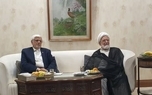 مهدی کروبی در دیدار عارف معاون اول رئیس‌جمهور: بی توجهی دولت به شعارهای زمان انتخابات، موجب ناامیدی مردم می‌شود/ مشکلات مردم خیلی سخت تر از سالهای گذشته شده است