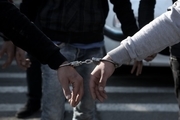 دستگیری 14 نفر از مخلان نظم و آرامش در تایباد