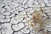 فرسایش خاک در ایران 7 برابر میانگین جهانی است! - توضیحات یک مقام مسئول در خصوص عوامل این فاجعه