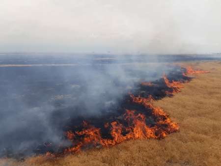 بروز آتش سوزی در اراضی مرتعی حاشیه خلیج گرگان
