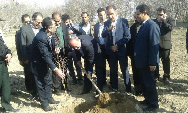 استاندار البرز بر توسعه کشت گیاهان کم آب بر در استان تاکید کرد