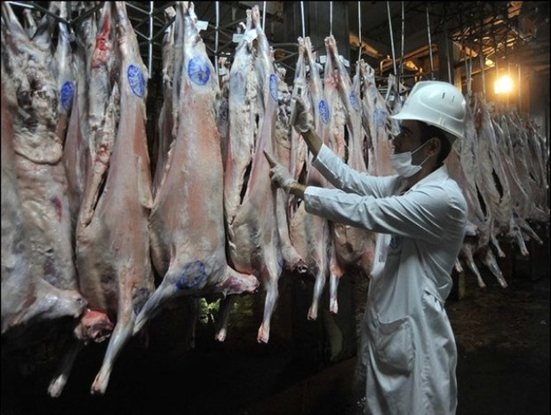 خراسان رضوی بزرگترین تولید گوشت قرمز در ایران