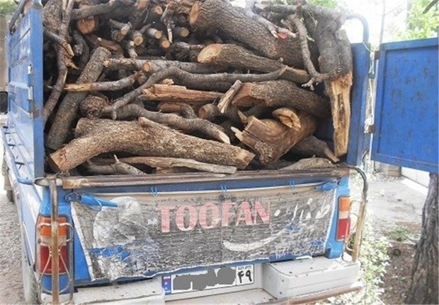 2 تن چوب قاچاق در کهگیلویه کشف شد