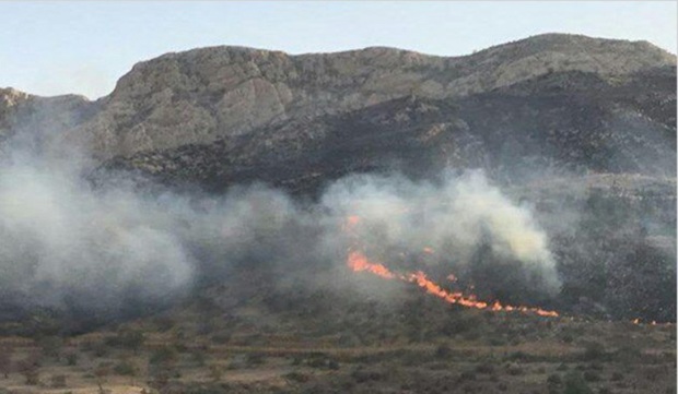 آتش در جنگل های منطقه نیلکوه گالیکش دوباره زبانه کشید