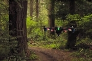 سنسورهای هشدار آتش سوزی در جنگل ها نصب می شود