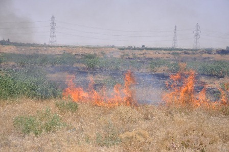 وقوع 285 مورد آتش سوزی در فضاهای سبز اراک