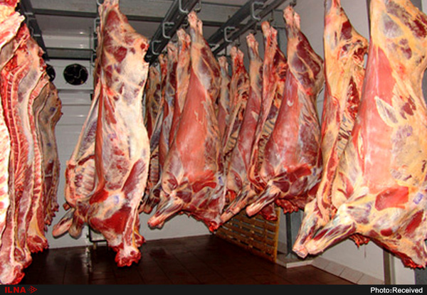کشف بیش از 3 تن گوشت قاچاق در تربت حیدریه