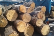 کشف بیش از ۳ تن چوب جنگلی قاچاق در لردگان