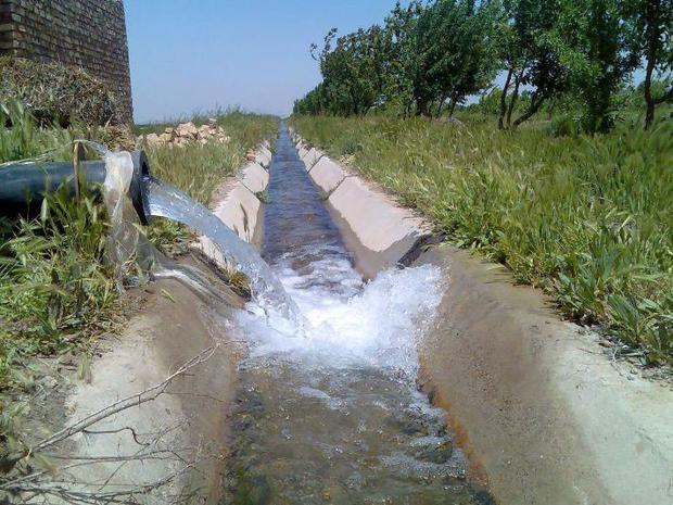 مشکل آب کشاورزی طارم با کشت محصولات کم‌آب‌خواه رفع می‌شود