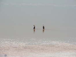 دریاچه ارومیه یکسال بدون تغییر!