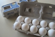 بسته بندی جدید گوگل برای محافظت از تخم مرغ