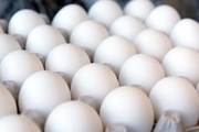 قیمت انواع تخم مرغ در بازار؛ 16 اسفند 1401 + جدول