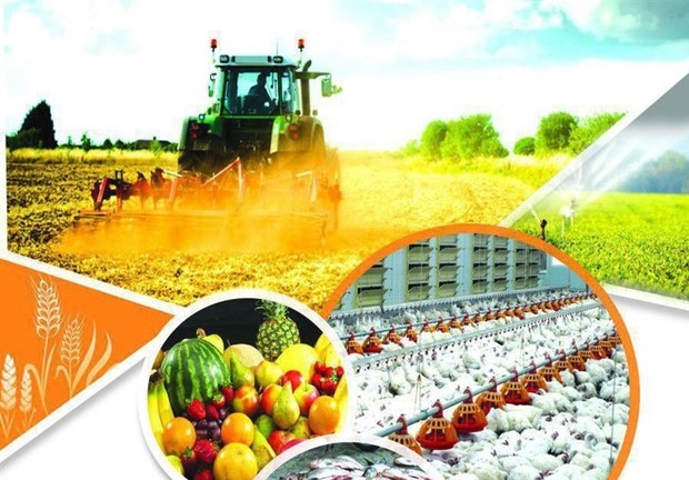 224 درصد تسهیلات حمایت از اشتغال حوزه کشاورزی قزوین جذب شد