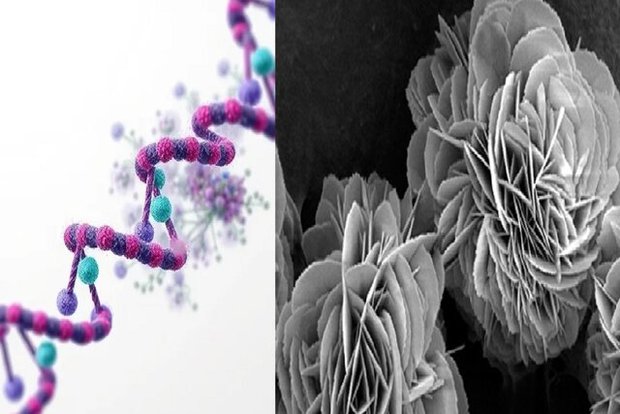 این گُل‌ها سرطان پستان را درمان می‌کنند
