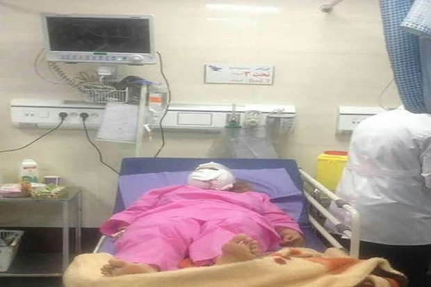 گرگ 6 نفر را در قزوین مجروح کرد