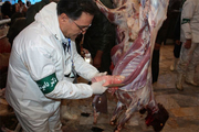 آماده باش 99 اکیپ دامپزشکی همزمان با عید قربان در آذربایجان غربی  گوشت قربانی حداقل 24 ساعت پس از نگهداری در یخچال مصرف شود
