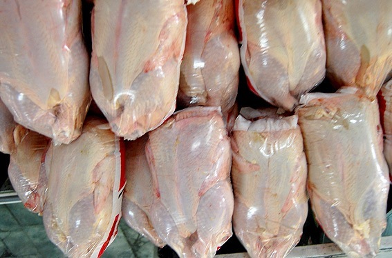 اختصاص 80 تن سهمیه مرغ منجمد ویژه محرم به سیستان و بلوچستان