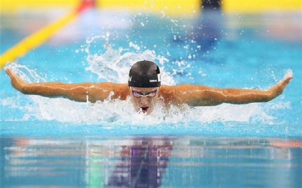 تیم تربت حیدریه طلای کشوری رقابتهای شنا را کسب کرد