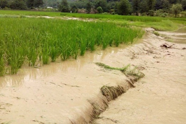 سیل 26 میلیارد ریال به کشاورزان اشنویه خسارت زد