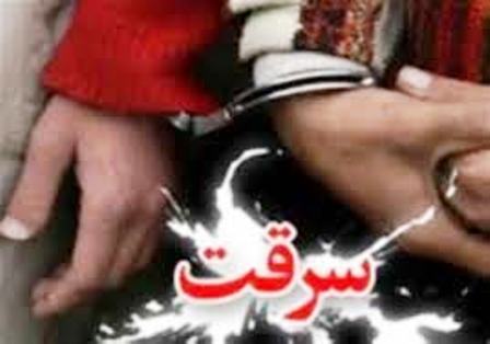 دستگیری پنج سارق و کشف 21 فقره سرقت در استان ایلام