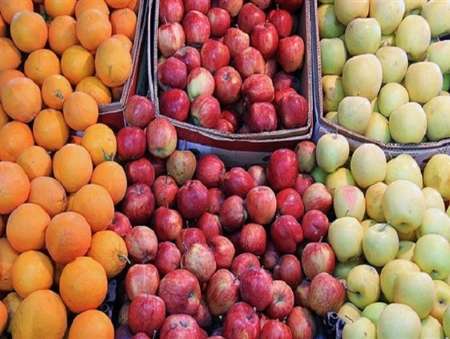 نیاز مردم به میوه تامین می شود   عرضه سیب و پرتغال تا 15 فروردین