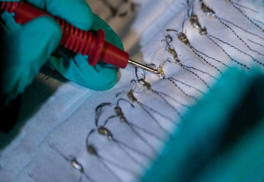 نوآوری جالب کره‌ای‌ها برای تولید برق از گرمای بدن
