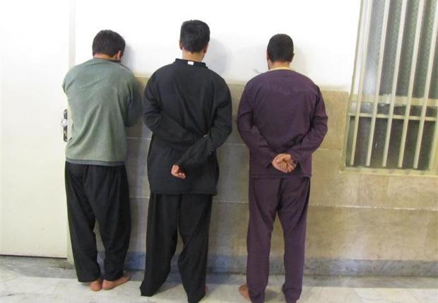 24 معتاد متجاهر و توزیع کننده مواد مخدر در دشتی دستگیر شدند