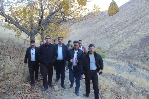 کاشت ۱۰۰ هزار اصله نهال در دره گردو اراک هدف‌گذاری شد