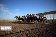 برترین‌های هفته ششم مسابقات کورس اسب کشور در اهواز مشخص شدند