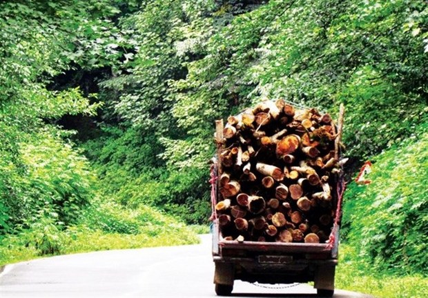کشف 15 تن چوب‌آلات جنگلی از قاچاقچیان در گرمی