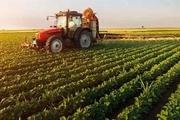 لغو ممنوعیت صادرات 4 محصول کشاورزی + اسامی