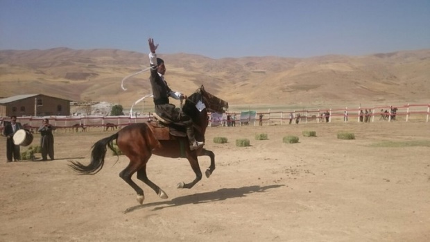 برگزاری جشنواره نمایش اسب های اصیل کردی در مهاباد