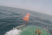 شلیک موفق موشک کروز از زیردریایی کلاس غدیر+ عکس