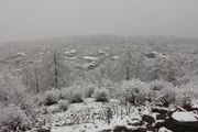 برف و سرما برخی مدارس استان سمنان را تعطیل کرد