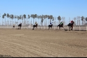 رقابت 56 راس اسب در هفته هجدهم مسابقات اسبدوانی گنبدکاووس