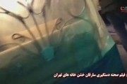 عملیات ویژه پلیس برای بازداشت سارقان خشن تهران