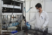 تولید الکل در دانشکده مهندسی شیمی، نفت و گاز دانشگاه شیراز آغازشد