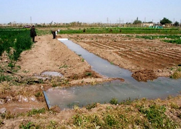 اجرای دستورالعمل بهره وری آب در بخش کشاورزی خوزستان