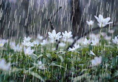 افزایش ۴۸ درصدی بارش باران در خراسان جنوبی