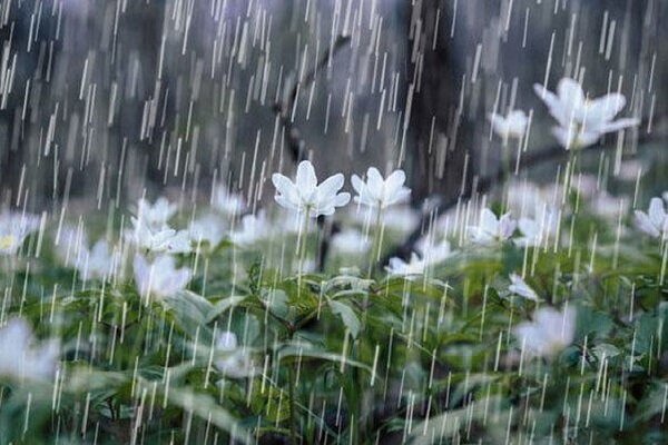 افزایش ۴۸ درصدی بارش باران در خراسان جنوبی