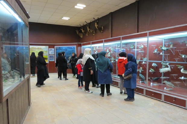 بازدید از موزه تنوع زیستی محیط زیست قزوین رایگان شد