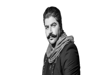 حضور بهنام بانی در سریال 