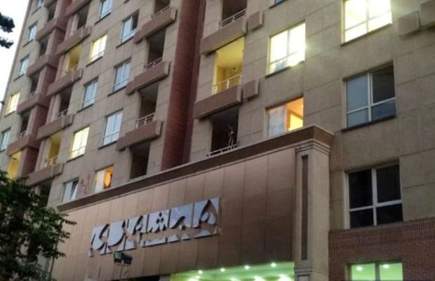 مدیرعامل شرکت همشهری منصوب شد