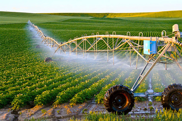 242 طرح کشاورزی در آذربایجان غربی آماده بهره برداری است