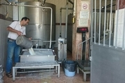 شیرخام در مراکز جمع‌آوری  ابرکوه پایش می‌شود