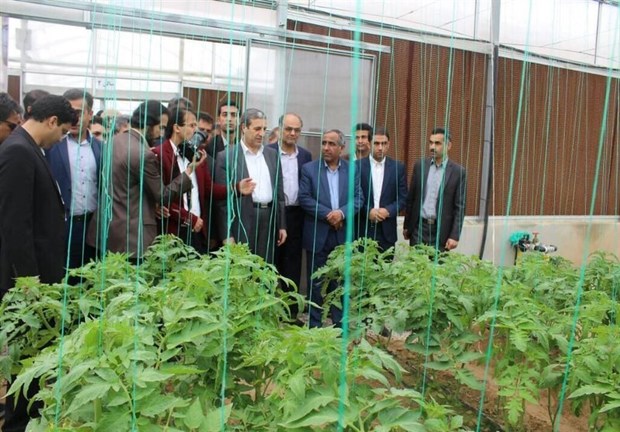 259 طرح اشتغال بخش کشاورزی بوشهر تسهیلات گرفتند
