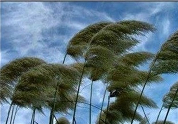 وزش باد پدیده غالب سیزدهم فروردین در کرمان است
